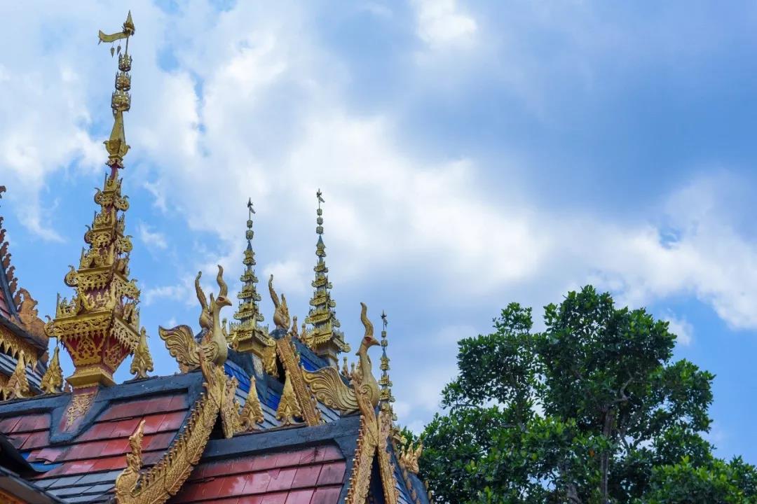 5d75a9101d34b.jpg 3.jpg