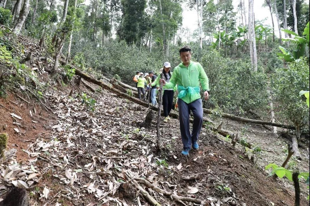 5d75a916a5b73.jpg 4.jpg