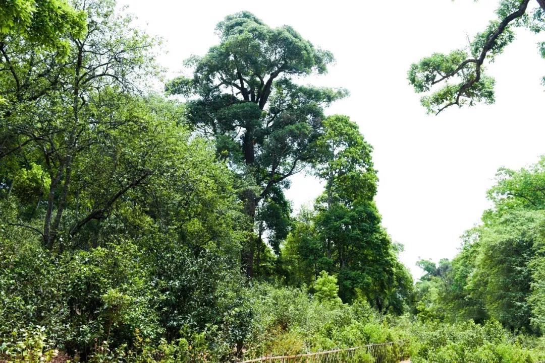 5d75a9f3aed7a.jpg 8.jpg