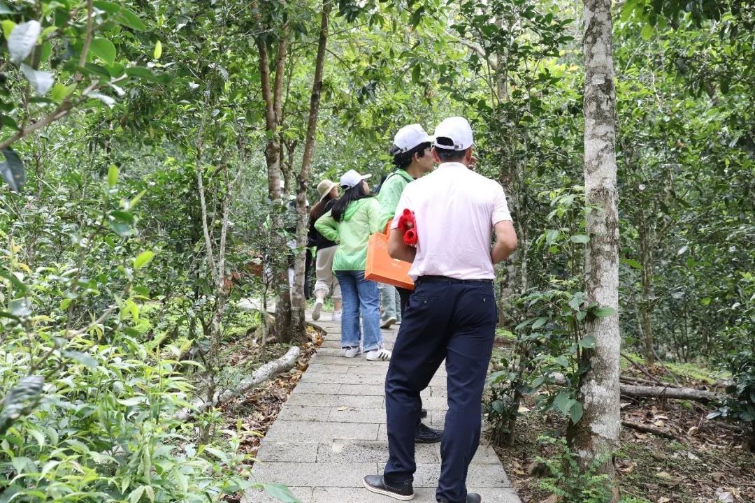 5d75a9fb655d7.jpg 9.jpg