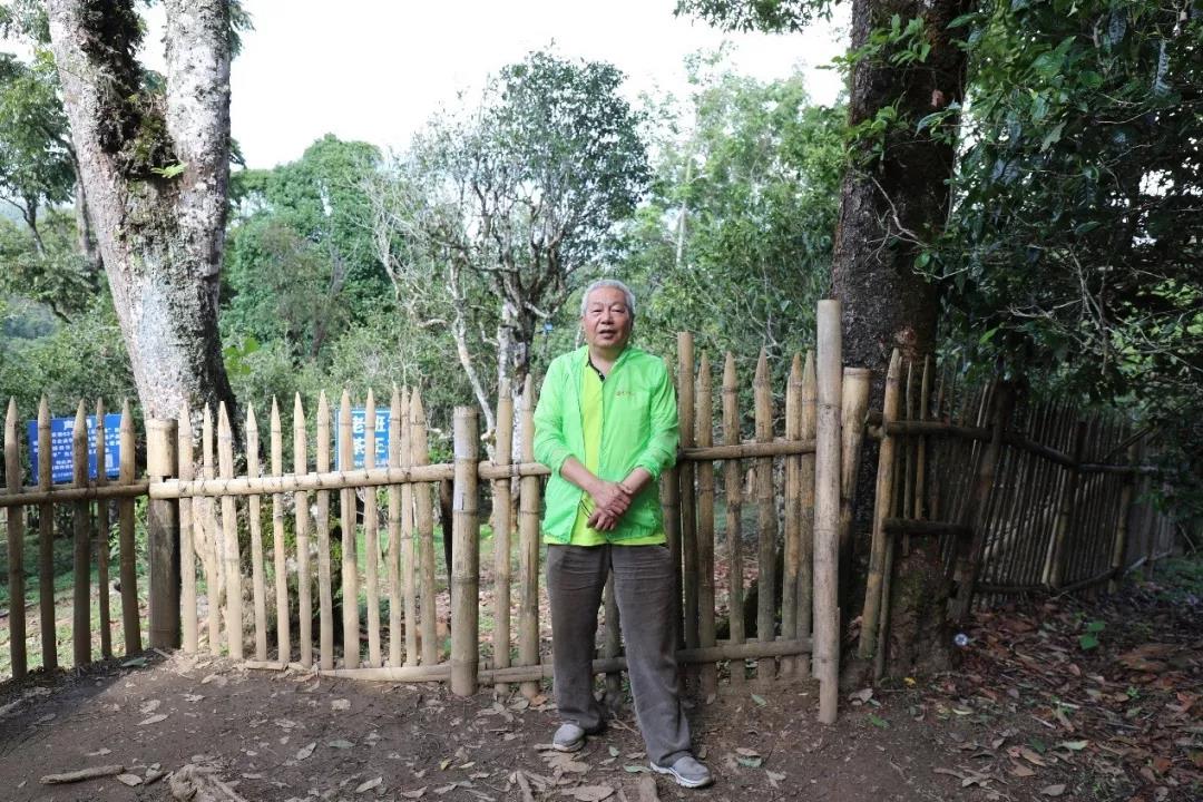 5d75aa19918ac.jpg 12.jpg