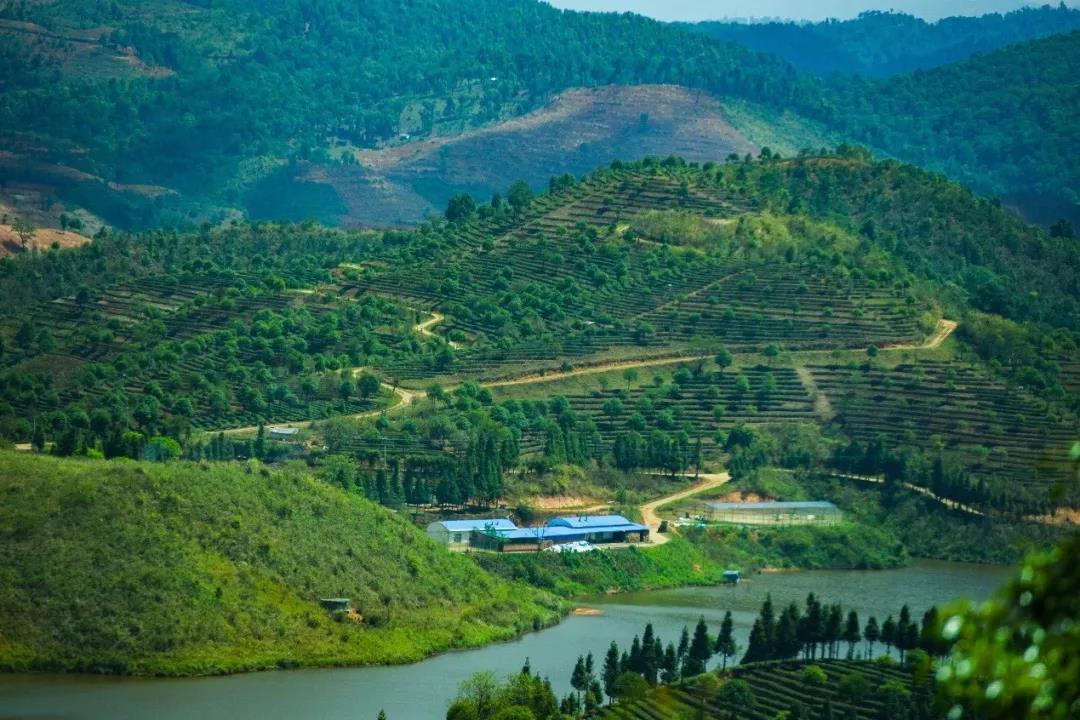 5d75aa6c37c03.jpg 15.jpg