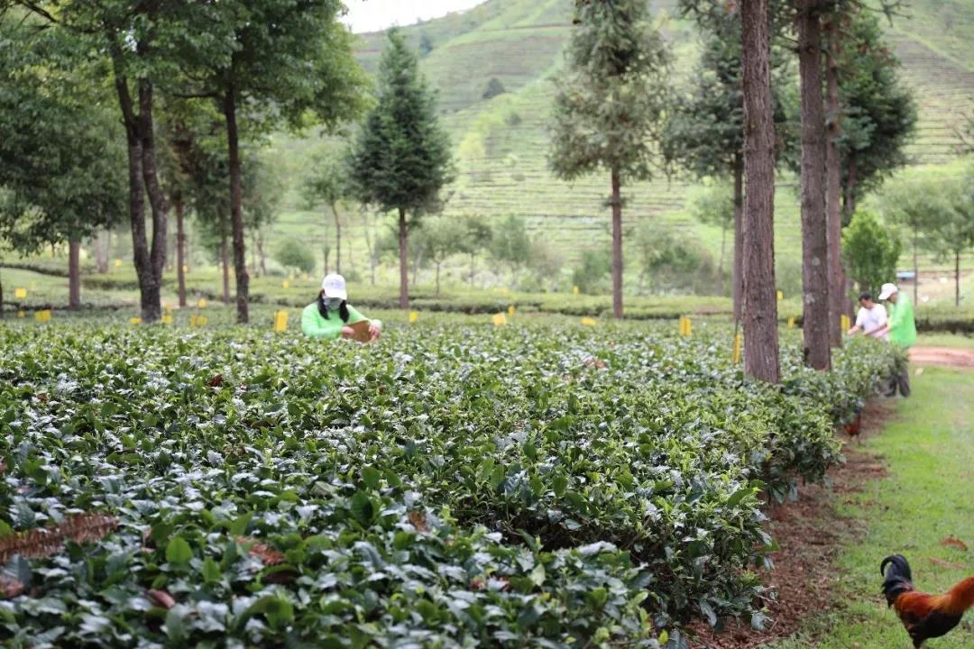 5d75aab013577.jpg 17.jpg