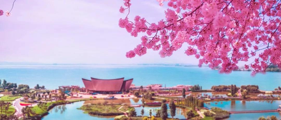 5d75e4ae0f9f4.jpg 6.jpg