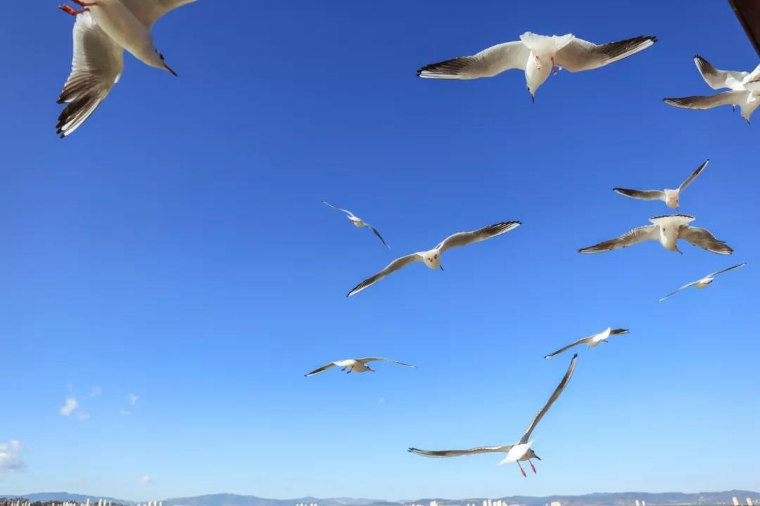 5d75e4b312d07.jpg 7.jpg