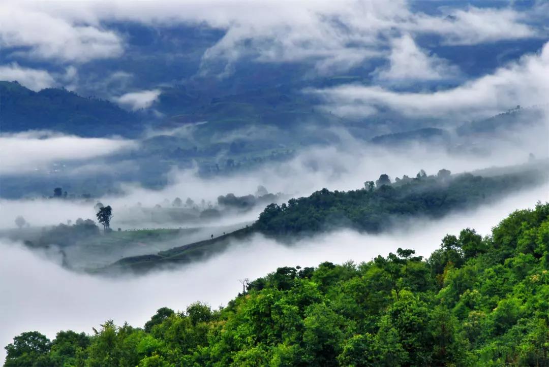 5d75e72feecaf.jpg 15.jpg