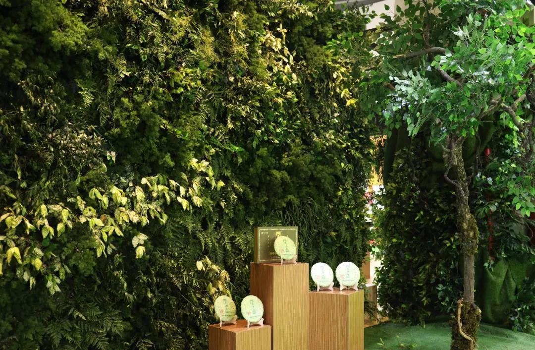 5d77520336227.jpg 6.jpg