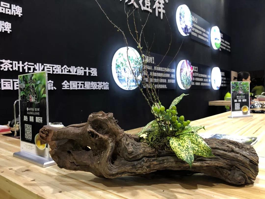 5d77523d7c209.jpg 13.jpg