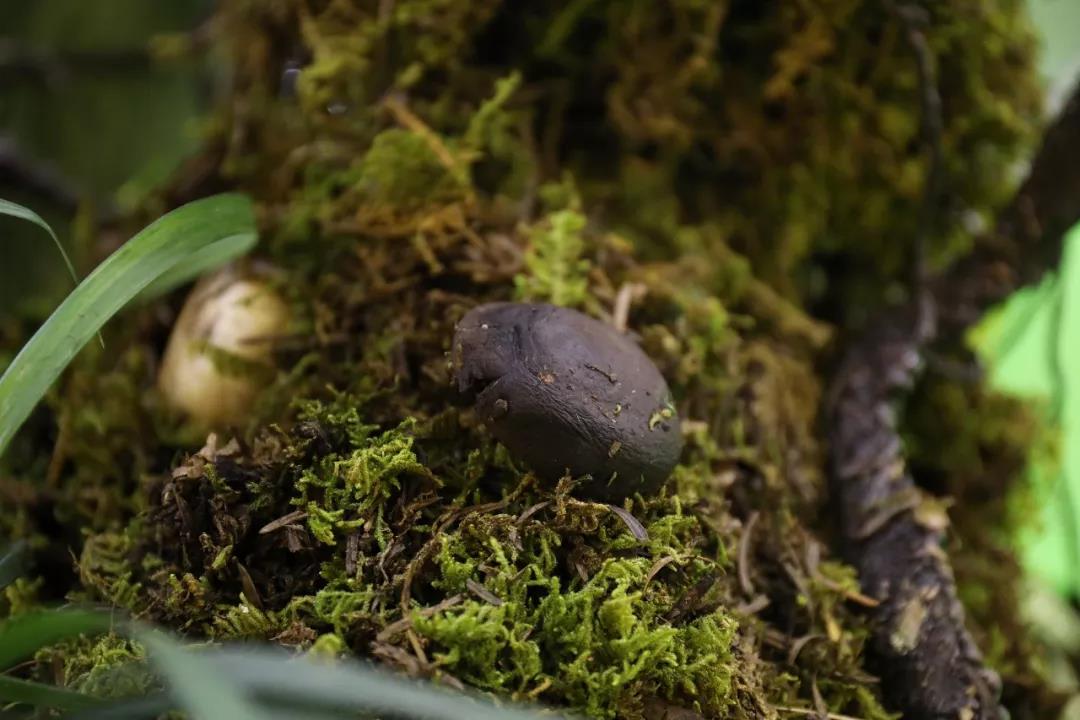 5d775277b9cb8.jpg 23.jpg