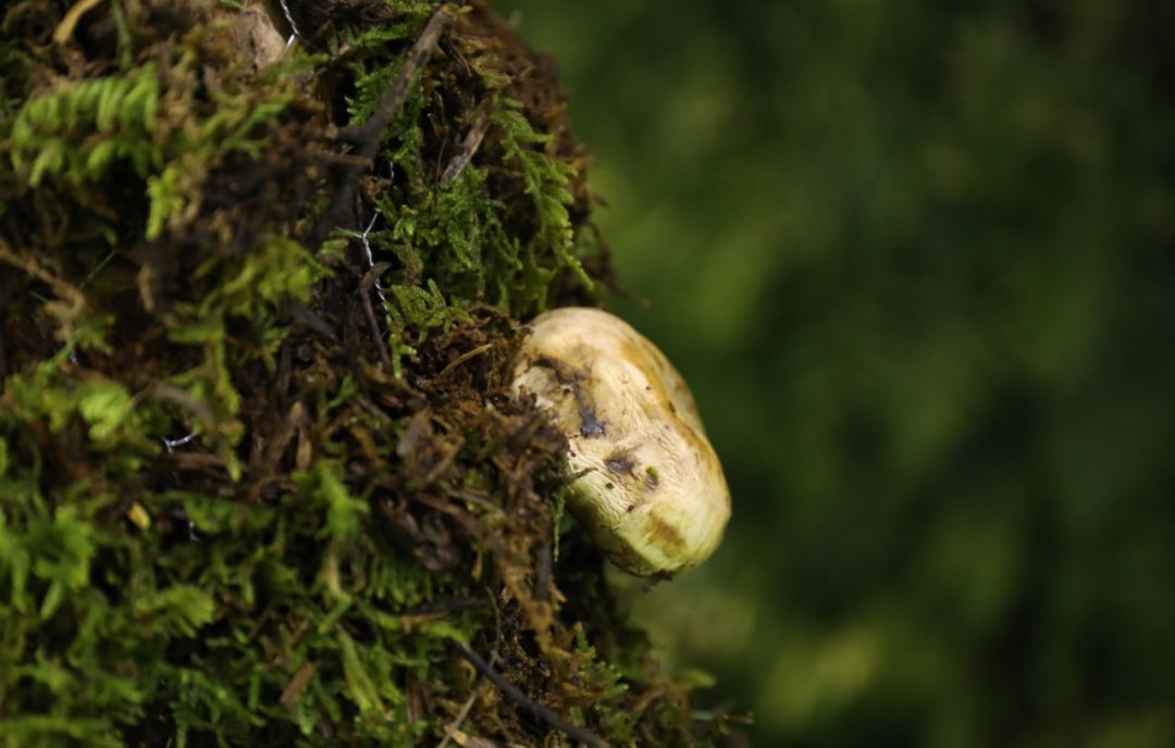 5d77528783019.jpg 26.jpg