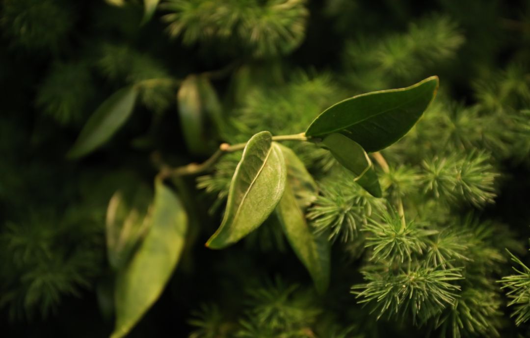 5d77528c2bdc5.jpg 27.jpg