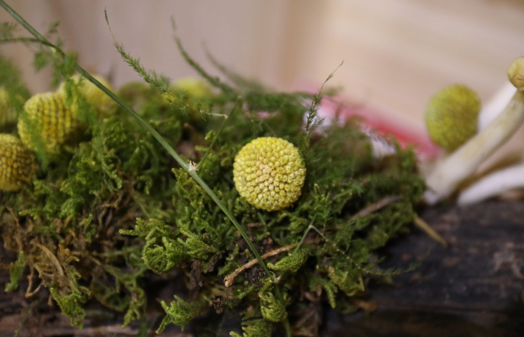 5d775290e3eb9.jpg 28.jpg