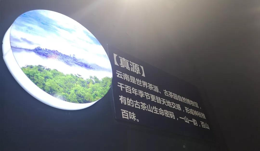 5d775295e230d.jpg 29.jpg