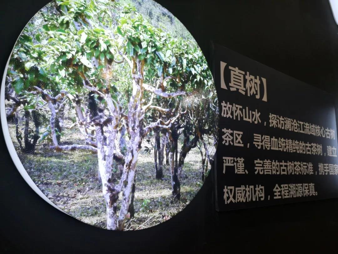 5d77529a68e7d.jpg 30.jpg