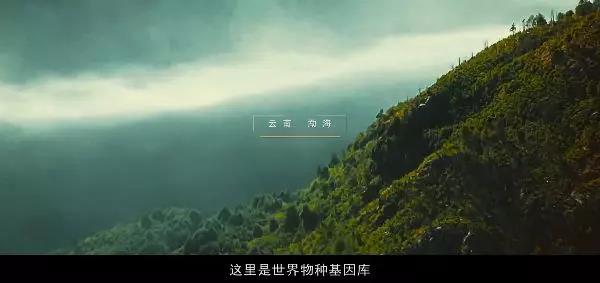 5d79a498f40e3.jpg 2.jpg