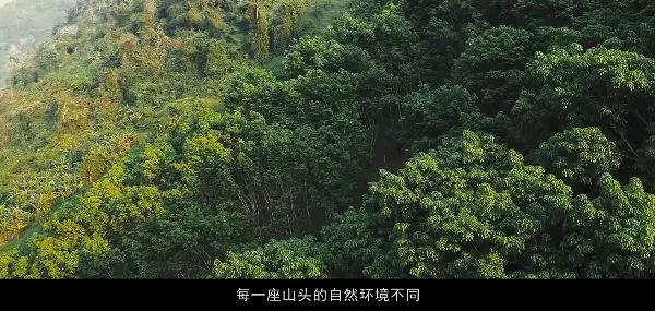 5d79a4a208927.jpg 3.jpg