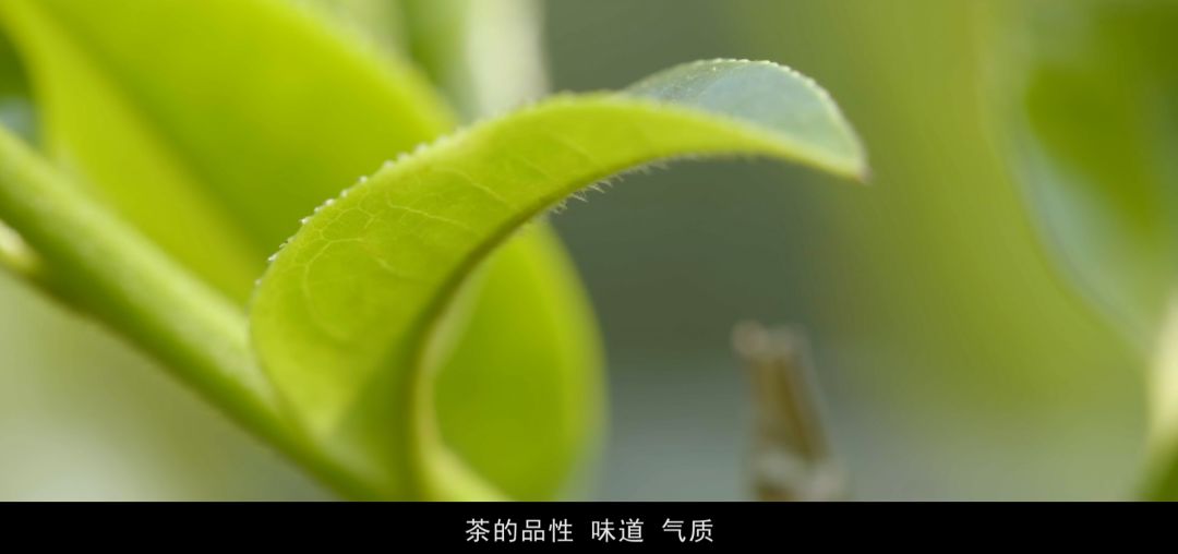 5d79a4a60bdde.jpg 4.jpg