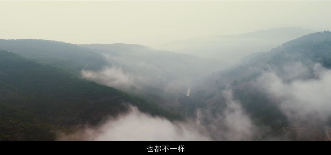 5d79a4aa8c181.jpg 5.jpg