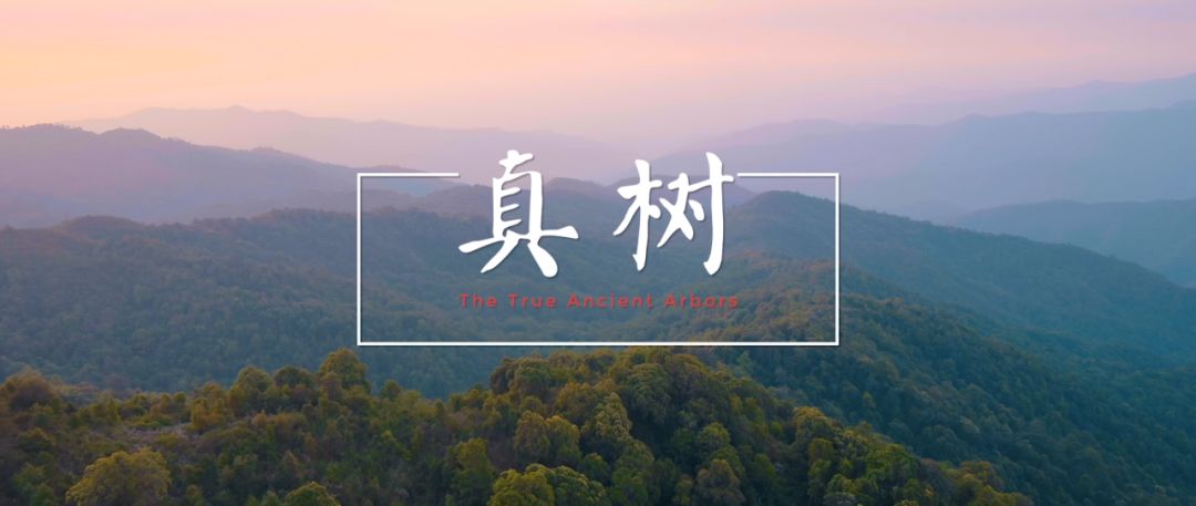 5d79a4c5bf184.jpg 11.jpg