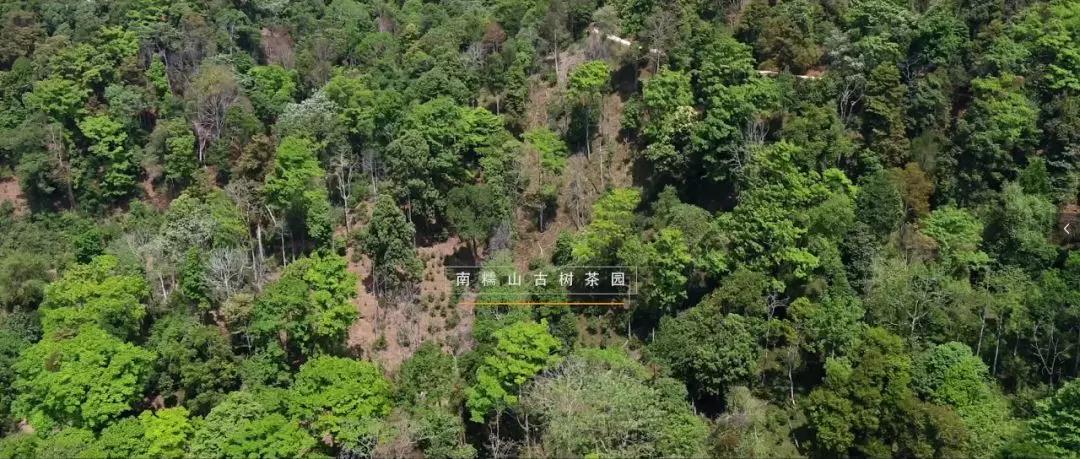 5d79a4ca1c214.jpg 12.jpg