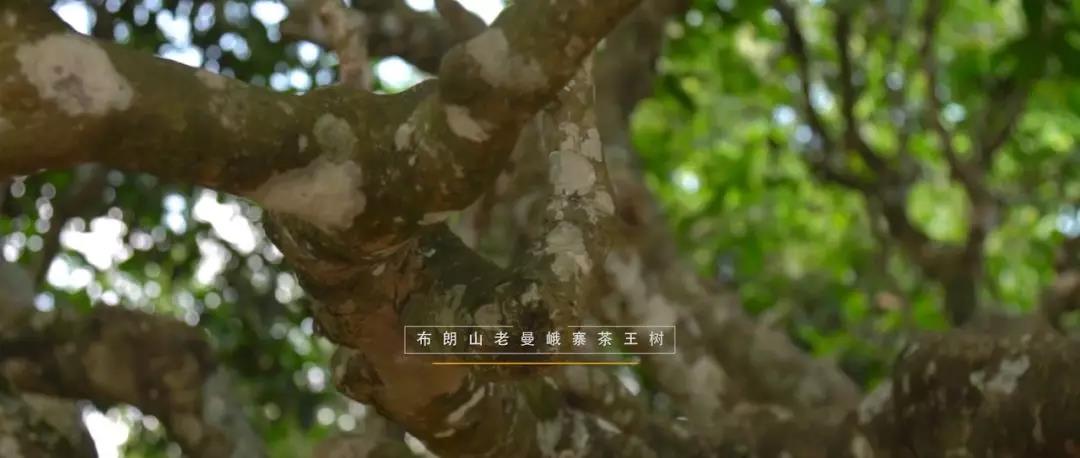 5d79a4d35d810.jpg 14.jpg