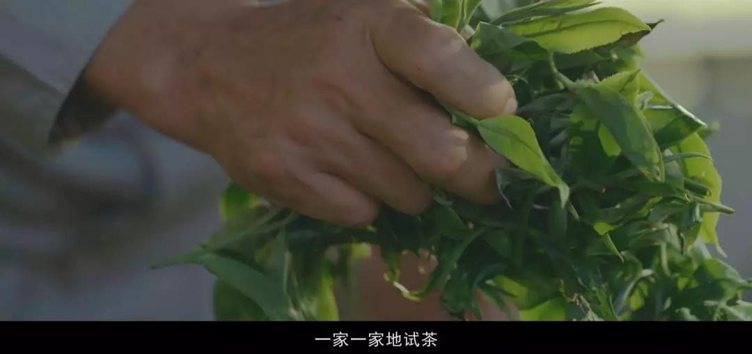 5d79a4f5d42f6.jpg 21.jpg