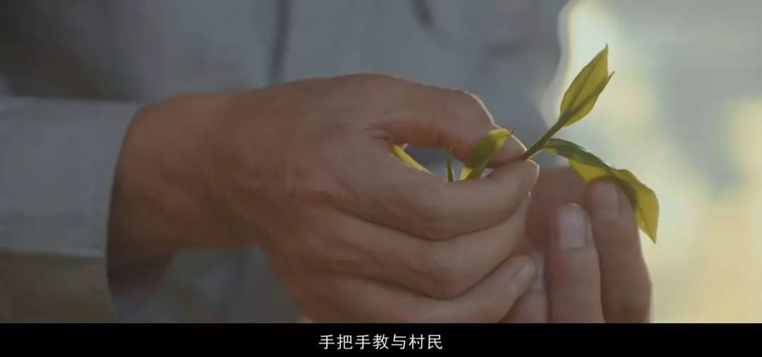 5d79a4fa4bd0c.jpg 22.jpg