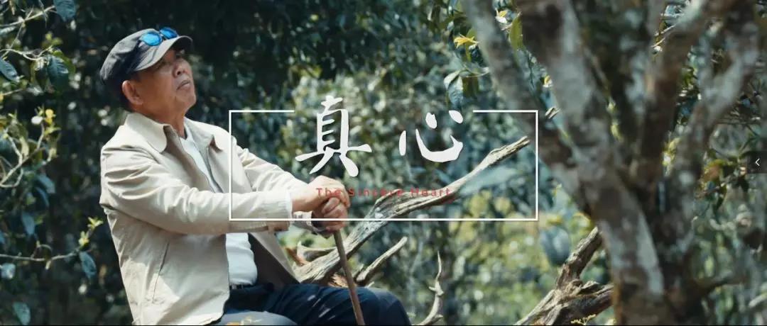 5d79a50348ff9.jpg 24.jpg