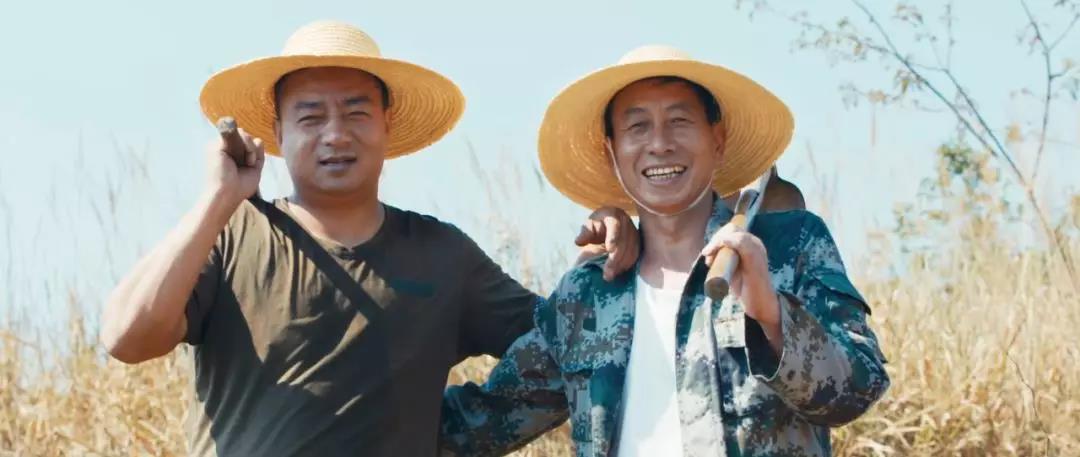 5d79a52051193.jpg 30.jpg