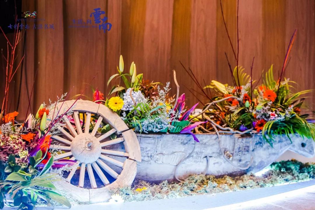 5dc3bb86ef4ac.jpg 6.jpg