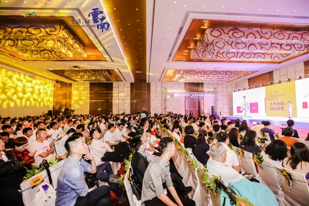 5dc3bcfd89c7c.jpg 41.jpg