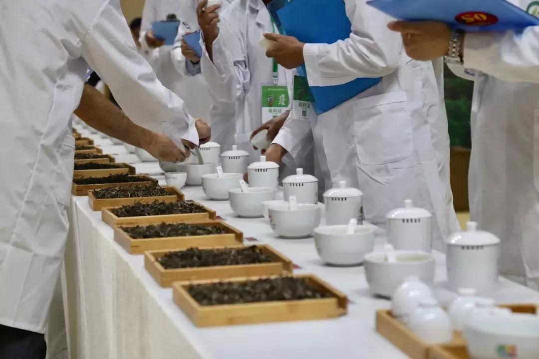 5dc3c9efaa5a1.jpg 5dc3c9efaa5a1.jpg