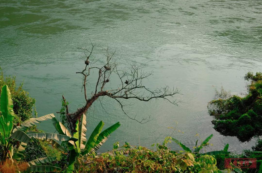 5dc3d238a539e.jpg 5dc3d238a539e.jpg