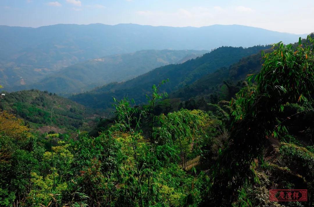 5dc3d25ba145a.jpg 5dc3d25ba145a.jpg