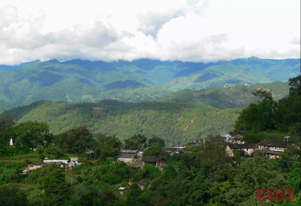 5dc3d26292af3.jpg 5dc3d26292af3.jpg