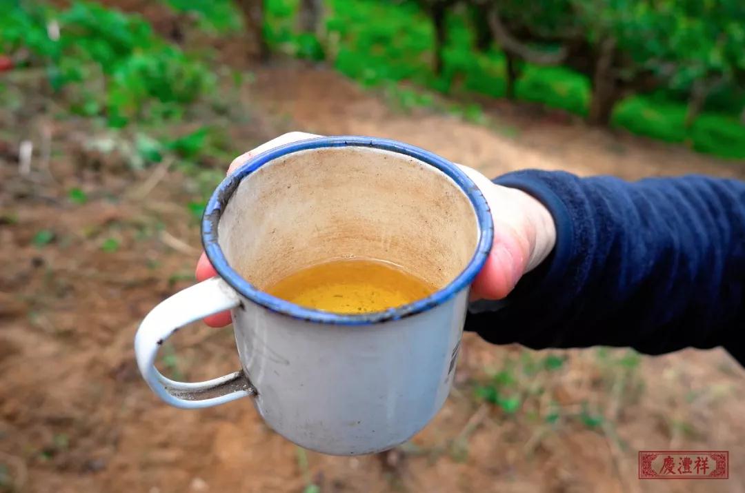 5dc3d26e31417.jpg 5dc3d26e31417.jpg