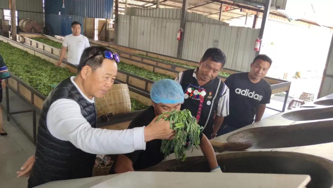 5dc3d2ec52e69.jpg 5.jpg