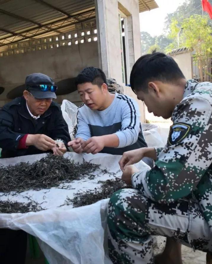 5dc3d2f15c261.jpg 5dc3d2f15c261.jpg