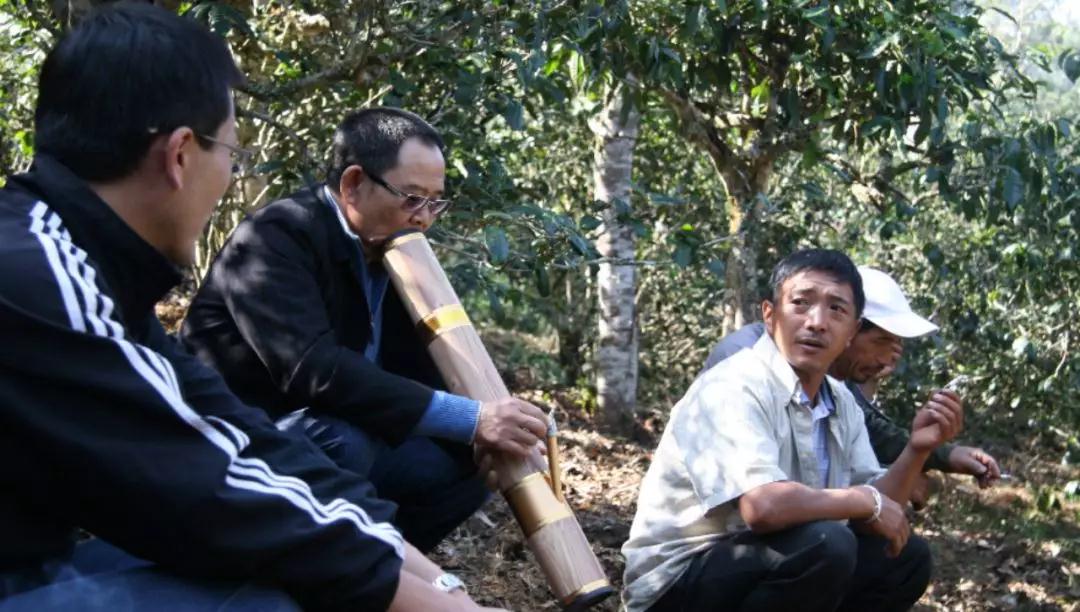 5dc3d2fc82607.jpg 8.jpg