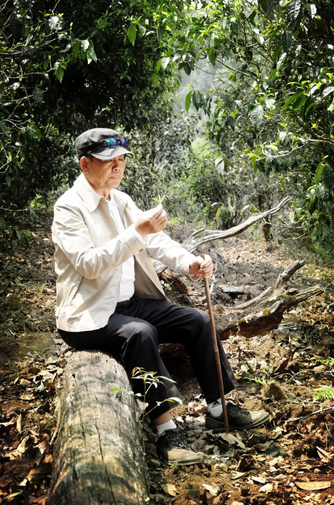 5dc3d355167c0.jpg 22.jpg