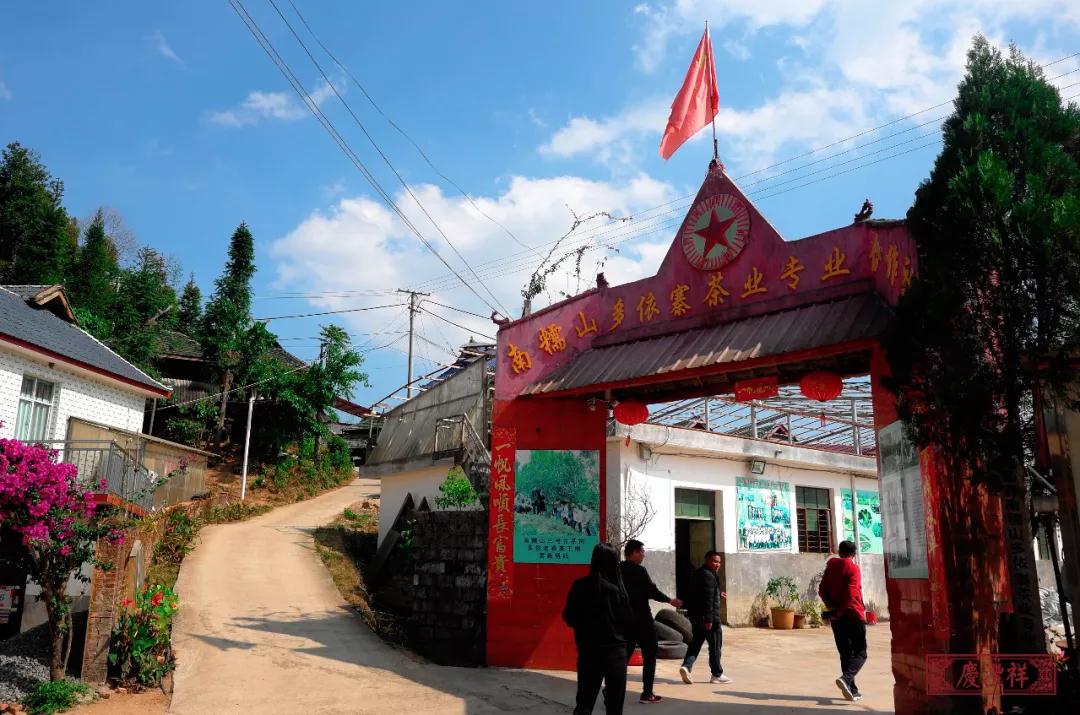 5dc3d3f8b36e5.jpg 5dc3d3f8b36e5.jpg