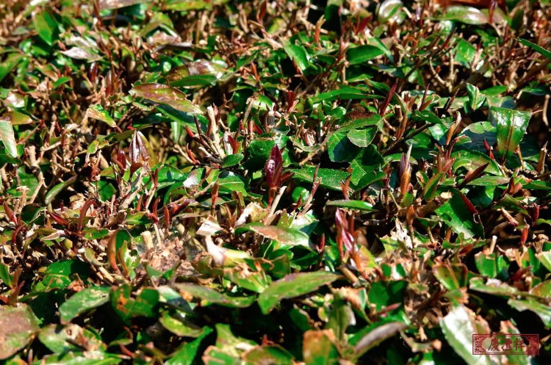 5dc3d4d3f0bb5.jpg 5dc3d4d3f0bb5.jpg