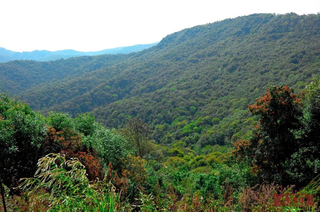 5dc3d582bdf9f.jpg 5dc3d582bdf9f.jpg