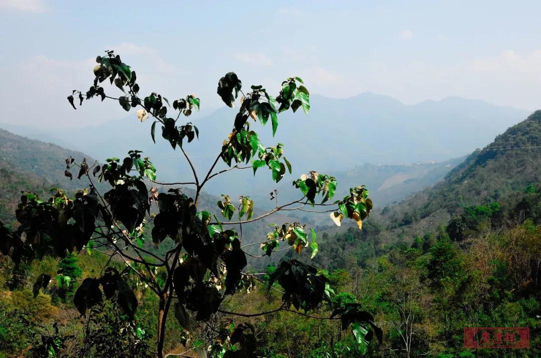 5dc3d5f465720.jpg 5dc3d5f465720.jpg