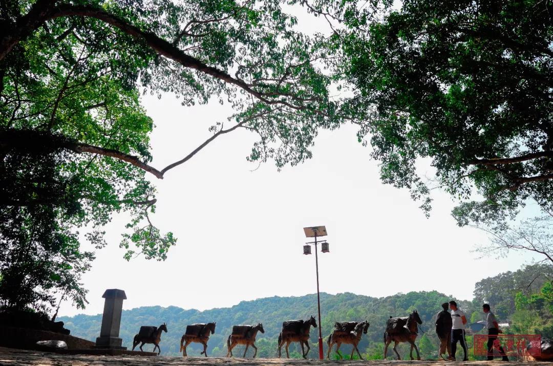 5dc3d5fb4e8e1.jpg 5dc3d5fb4e8e1.jpg