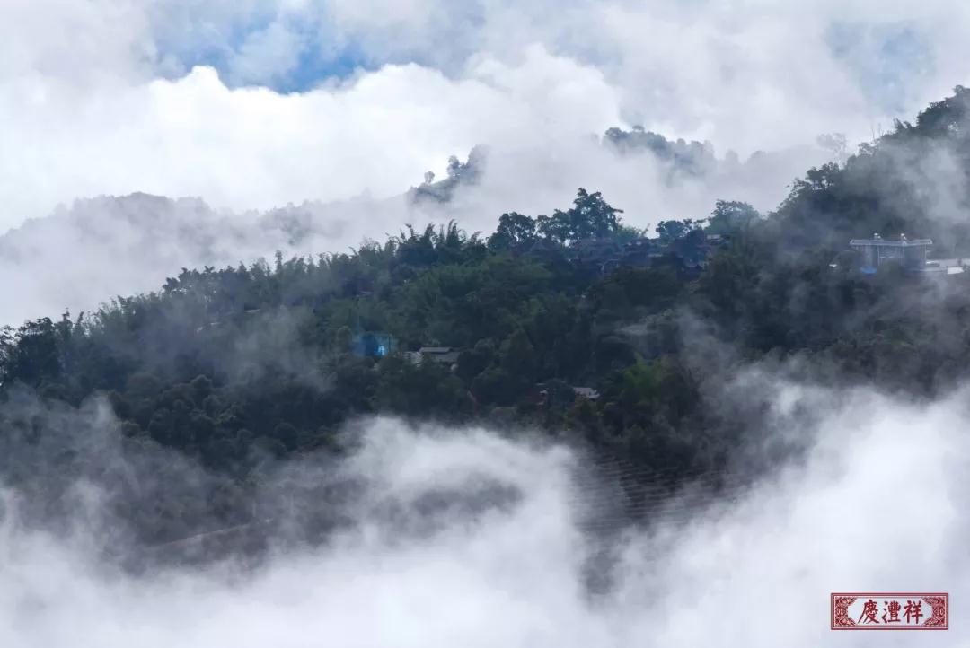 5dc3d6533b106.jpg 1.jpg