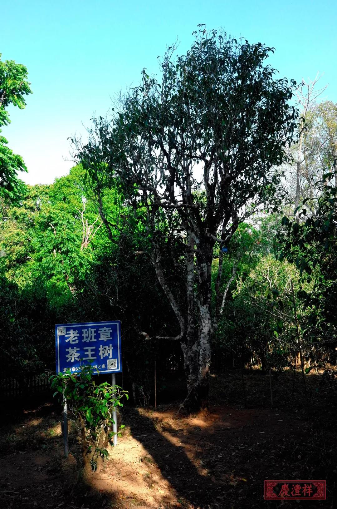 5dc3d67974543.jpg 5.jpg