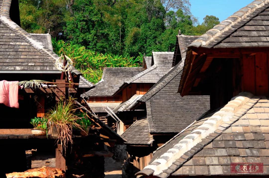 5dc3d6962dafa.jpg 9.jpg