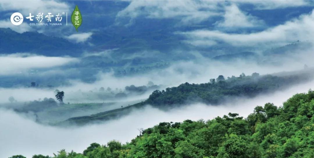 5dc3d6d89f258.jpg 2.jpg