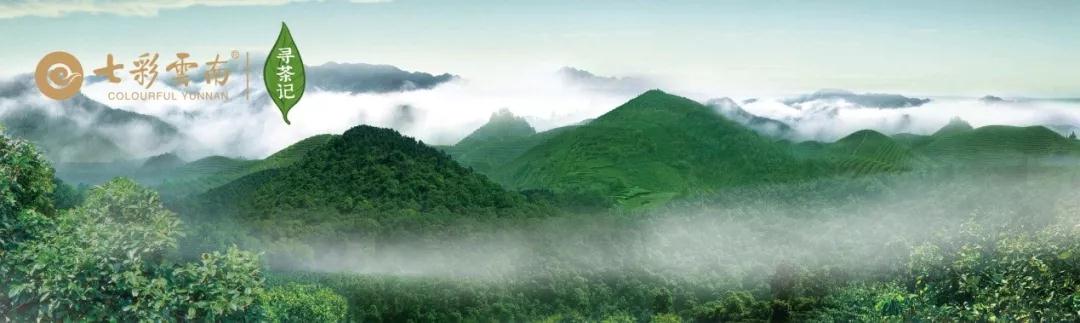 5dc3d6e79a2bd.jpg 4.jpg